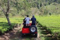 Asyiknya Trip Paket Wisata Keliling Ngadirejo Temanggung