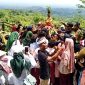 Grebeg gunungan sedekah bumi warga Dusun Kurahan, Karangrejo, Kecamatan Borobudur Kabupaten Magelang di puncak bukit Punthuk Setumbu, Senin (23/12).
