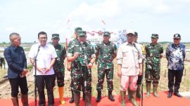 Panglima TNI, Jenderal TNI Agus Subiyanto dan Menteri Pertanian Andi Amran Sulaiman launching padi varietas Sinar Mentari di Desa Tegalsari Timur, Kecamatan Ampelgading, Kabupaten Pemalang, Kamis (19/12/24).