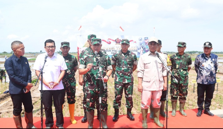 Panglima TNI, Jenderal TNI Agus Subiyanto dan Menteri Pertanian Andi Amran Sulaiman launching padi varietas Sinar Mentari di Desa Tegalsari Timur, Kecamatan Ampelgading, Kabupaten Pemalang, Kamis (19/12/24).