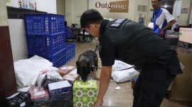 BNNP Jawa Tengah menggelar Operasi Interdiksi Terpadu di Gudang Ekspedisi TIKI, Jalan MH Thamrin No. 92 Semarang, Selasa (24/12/24).