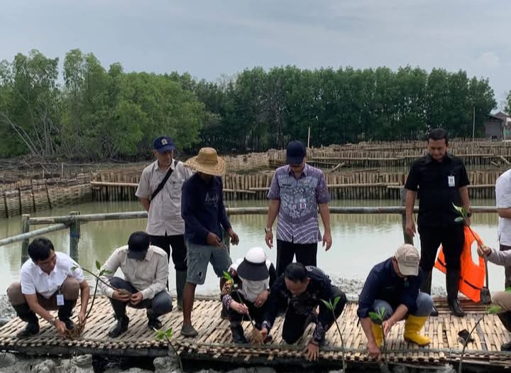 Demak Perkuat Ketahanan Pesisir Melalui Pelestarian dan Penanaman Mangrove