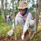 Para Srikandi PLN UPT Semarang melaksanakan penanaman pohon di Daerah Aliran Sungai Bodri, Kabupaten Kendal, Selasa (14/1/2025).