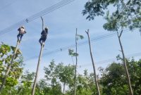 PLN terus mengintensifkan pemeliharaan jaringan listrik untuk meningkatkan keandalan dan kualitas pasokan listrik ke pelanggan. Pemeliharaan jaringan tersebut salah satunya bertujuan untuk memastikan jarak aman atau Right of Ways (ROW) jaringan listrik tegangan tinggi dan ekstra tinggi bebas dari gangguan benda asing seperti pohon, bangunan, antena dan lain sebagainya.