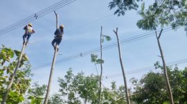 PLN terus mengintensifkan pemeliharaan jaringan listrik untuk meningkatkan keandalan dan kualitas pasokan listrik ke pelanggan. Pemeliharaan jaringan tersebut salah satunya bertujuan untuk memastikan jarak aman atau Right of Ways (ROW) jaringan listrik tegangan tinggi dan ekstra tinggi bebas dari gangguan benda asing seperti pohon, bangunan, antena dan lain sebagainya.