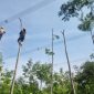 PLN terus mengintensifkan pemeliharaan jaringan listrik untuk meningkatkan keandalan dan kualitas pasokan listrik ke pelanggan. Pemeliharaan jaringan tersebut salah satunya bertujuan untuk memastikan jarak aman atau Right of Ways (ROW) jaringan listrik tegangan tinggi dan ekstra tinggi bebas dari gangguan benda asing seperti pohon, bangunan, antena dan lain sebagainya.