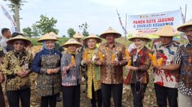 Kepala OJK Provinsi Jawa Tengah,  Sumarjon (kiri) bersama Pj. Gubernur Jawa Tengah Nana Sudjana, Bupati Grobogan Sri Sumarni dan Kelompok Tani Hutan (KTH) pada kegiatan Panen Raya di Desa Tegalsumur, Kecamatan Brati, Kabupaten Grobogan, Selasa (14/1/2025).