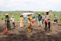 Polres Demak Bersama Instansi Terkait, Gelar Tanam Jagung bersama di Desa Wonosekar, Kecamatan Karangawen, Kabupaten Demak, Selasa (21/1/2025).