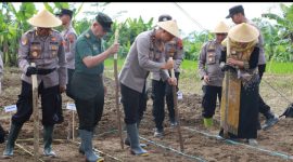 Polres dan Pemda Wonosobo Tanam Jagung Serentak.