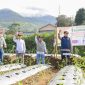 Tasyakuran Peringatan Hari Pers Nasional (HPN) 2025 Komunitas Jurnalis Wonosobo bersama Bupati Wonosobo, Forum BUMD dan jajaran Forkompimda Wonosobo di Gunung Cilik kawasan Blembem, Desa Damarksihan, Kecamatan Kertek, Minggu (9/2/2025).