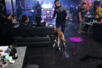 Petugas BNN Prov Jateng sedang melakukan operasi narkoba di tempat hiburan di Bandungan dengan melibatkan anjing pelacak, Jumat (14/2).
