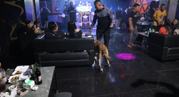 Petugas BNN Prov Jateng sedang melakukan operasi narkoba di tempat hiburan di Bandungan dengan melibatkan anjing pelacak, Jumat (14/2).