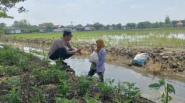 Kapolsek Karangtengah, AKP Setyo, menyerahkan Bansos kepada salah seorang buruh tani di Desa Sampang, Kecamatan Karangtengah, Kabupaten Demak, Kamis (6/3/2025).