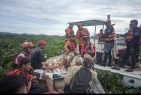Tim SAR usai evakuasi lansia pencari enceng gondok yang terjebak badai di Rawapening.