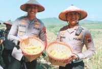 Kapolres Demak, AKBP Ari Cahya Nugraha (kiri) memimpin panen jagung di kawasan hutan petak, Desa Wonosekar, Kecamatan Karangawen, Kabupaten Demak, Rabu (30/4/2025).