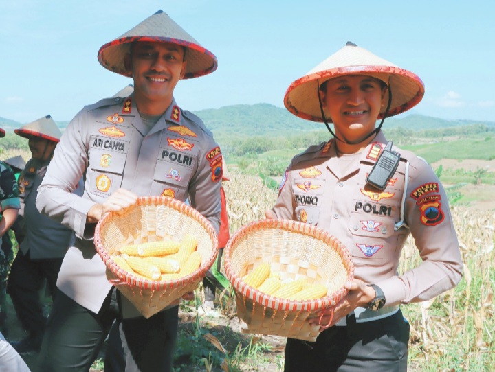 Kapolres Demak, AKBP Ari Cahya Nugraha (kiri) memimpin panen jagung di kawasan hutan petak, Desa Wonosekar, Kecamatan Karangawen, Kabupaten Demak, Rabu (30/4/2025).