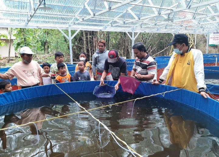 Kolam ikan lele milik Koperasi Mitra Mina Lestari Kabupaten Rembang.