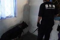BNNP Jateng bersama BNNK Tegal melaksanakan operasi penggeledahan rumah warga di Desa Kesuben, Kecamatan Lebaksiu, Kabupaten Tegal, Senin (23/6).