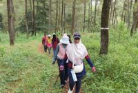 Jalur Trekking Obyek Wisata Jurang Jero, Magelang.
