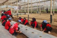 Para pelajar sedang belajar bertani di
Kebun Belajar Tani untuk mengenal proses pertanian secara langsung.
