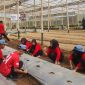 Para pelajar sedang belajar bertani di
Kebun Belajar Tani untuk mengenal proses pertanian secara langsung.