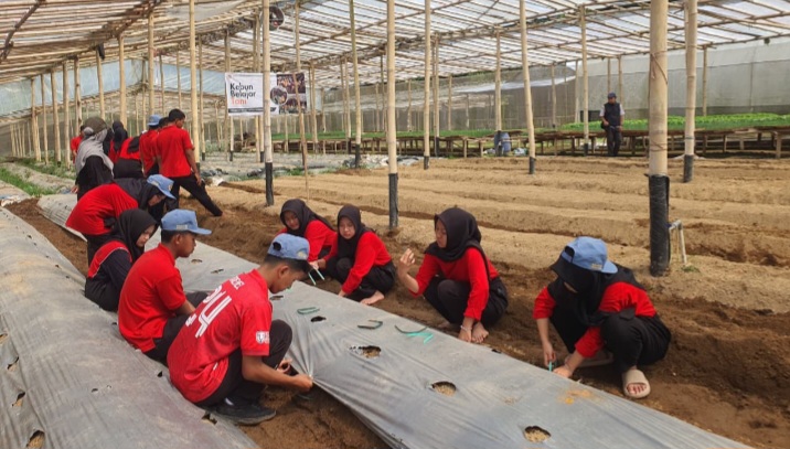 Para pelajar sedang belajar bertani di
Kebun Belajar Tani untuk mengenal proses pertanian secara langsung.