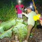 Tim SAR gabungan menemukan korban terakhir yang hanyut di sungai Jolinggo Singorojo Kendal dalam keadaan meninggal dunia, Rabu (5/11) pukul 21.50 WIB. 