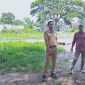 Petugas dari Dinas Perdagangan, Koperasi, dan UKM (Dindagkop dan UKM) meninjau lahan bekas Pasar Kambing di Desa Sumberjo sebagai lokasi relokasi sementara, Senin (10/11/2025).
