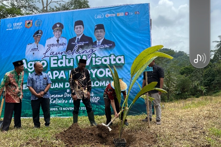 Peluncurkan program Agro Edu Wisata Kelapa Kopyor Berkemajuan, 
di Desa Selomanik, Kecamatan Kaliwiro, Kabupaten Wonosobo, Kamis (13/11/2025).