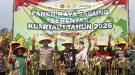 Kapolres Demak, AKBP Ari Cahya Nugraha, memimpin Panen Raya Jagung di Desa Sumberejo, Kecamatan Mranggen, Kamis (8/1/2026).