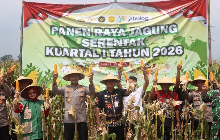 Kapolres Demak, AKBP Ari Cahya Nugraha, memimpin Panen Raya Jagung di Desa Sumberejo, Kecamatan Mranggen, Kamis (8/1/2026).