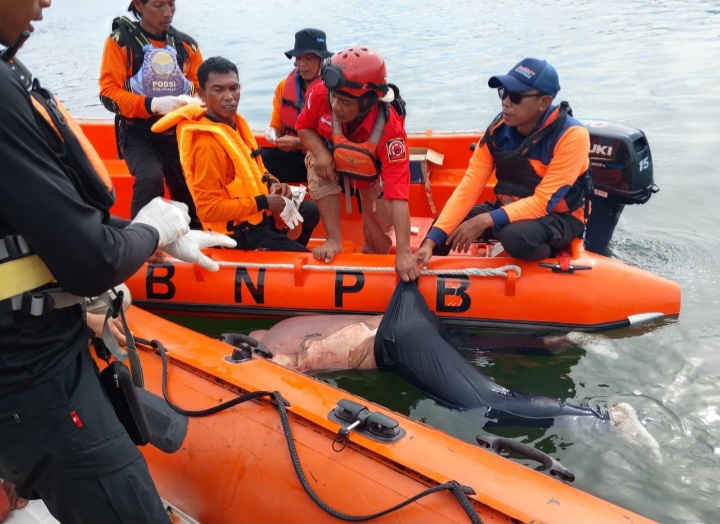 Tim SAR Gabungan sedang mengefakuasi jenazah Agus Waluyo 
yang hilang tenggelam di waduk Wadaslintang Wonosobo, Kamis (15/1/26).