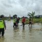Polisi sedang melakukan olah TKP di  tempat meninggalnya bocah berusia 8 tahun di Sungai Midah, Desa Mlaten, Kecamatan Mijen, Kabupaten Demak, Kamis (15/1/2026).