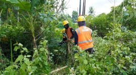 Petugas PLN melaksanakan kegiatan rabas-rabas jaringan listrik di wilayah Saptosari dan Semin, Kabupaten Gunungkidul, pada Minggu (8/2) pagi.