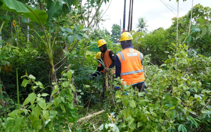 Petugas PLN melaksanakan kegiatan rabas-rabas jaringan listrik di wilayah Saptosari dan Semin, Kabupaten Gunungkidul, pada Minggu (8/2) pagi.
