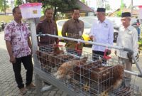 PT BPR BKK Lasem (Perseroda) menyalurkan bantuan ayam petelur beserta kandang dan pakannya kepada masyarakat.