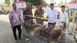 PT BPR BKK Lasem (Perseroda) menyalurkan bantuan ayam petelur beserta kandang dan pakannya kepada masyarakat.