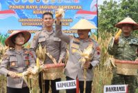 Kapolres Demak, AKBP Samel memimpin proses panen bersama jajaran pejabat utama Polres Demak, Sabtu (16/5). 