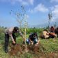 Petugas Bagian Perekonomian Setda Wonosobo dan sejumlah pegiat lingkungan melaksanakan penanaman pohon damar di kawasan Jalur Lingkar Simbing (Jalisu), Dusun Cengklok, Desa Butuh, Kecamatan Kalikajar, Rabu (20/5/2026).