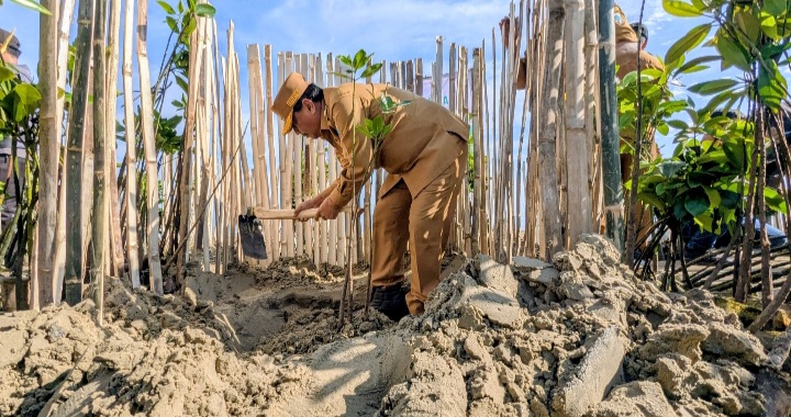 Bupati Rembang, Harno menanam pohon mangrove di kawasan Hutan Mangrove Jembatan Merah, Desa Pasar Banggi, Kecamatan Rembang, Senin (25/5/2026).