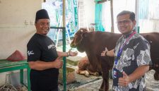 General Manager Pabrik Cilacap, Enjang Kusmana (kanan) bersama KH Muslihun menyalurkan satu ekor sapi di Masjid Agung Darussalam Cilacap.