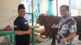 General Manager Pabrik Cilacap, Enjang Kusmana (kanan) bersama KH Muslihun menyalurkan satu ekor sapi di Masjid Agung Darussalam Cilacap.