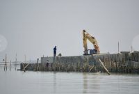 Pembangunan hybrid sea wall atau tanggul pantai berbasis solusi alam (nature-based solution) di Desa Surodadi, Kecamatan Sayung, Kabupaten Demak.