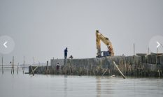 Atasi Ancaman Abrasi di Sayung, Pemprov Jateng Bangun Hybrid Sea Wall
