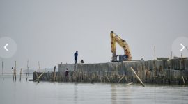 Pembangunan hybrid sea wall atau tanggul pantai berbasis solusi alam (nature-based solution) di Desa Surodadi, Kecamatan Sayung, Kabupaten Demak.