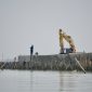 Pembangunan hybrid sea wall atau tanggul pantai berbasis solusi alam (nature-based solution) di Desa Surodadi, Kecamatan Sayung, Kabupaten Demak.